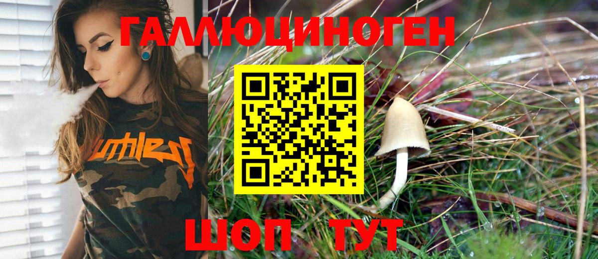 магазин  наркотиков  Вход с VPN  Галлюциногенные грибы MAGIC MUSHROOMS  Гуково  Галлюциногенные грибы прущие грибы 
